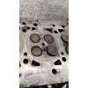 Recambio de culata para nissan x-trail i (t30) 2.2 di 4x4 referencia OEM IAM YD22 22DI 2001