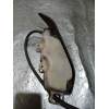 Recambio de deposito expansion para yamaha yzf-r yzf-r6 (rj03) referencia OEM IAM   