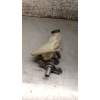 Recambio de bomba freno para opel corsa f referencia OEM IAM 32672071 12G 2019