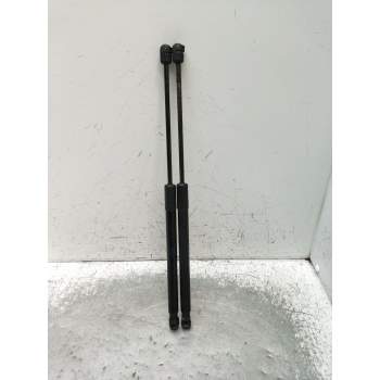AMORTIGUADORES MALETERO / PORTON 844300009R 2008