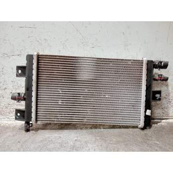 RADIADOR AGUA 214109411R 