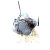 Recambio de caja cambios para chrysler pt cruiser (pt_) 2.0 referencia OEM IAM P04800281AAA AUTOMATICA K28120107516