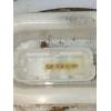 Recambio de bomba combustible para peugeot 407 (6d_) 1.6 hdi 110 (6d9hzc, 6d9hyc) referencia OEM IAM 96470832 097313990002 