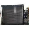 Recambio de radiador agua para man tgx 18.480 referencia OEM IAM 79361005 72151006 11