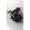 Recambio de mangueta delantera izquierda para audi a3 (8l1) 1.6 referencia OEM IAM  16G 2000
