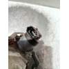 Recambio de bomba inyeccion para peugeot 207 1.6 hdi referencia OEM IAM 9656300380 0445010102 BOSCH