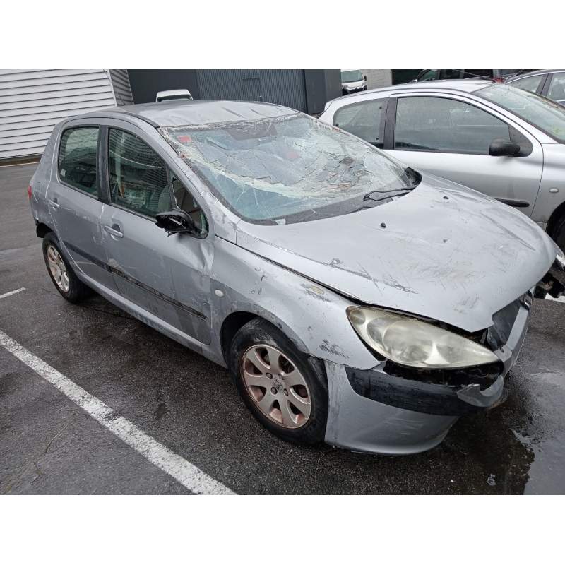 PEUGEOT 307 (S1)