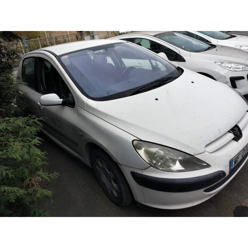 PEUGEOT 307 (S1)