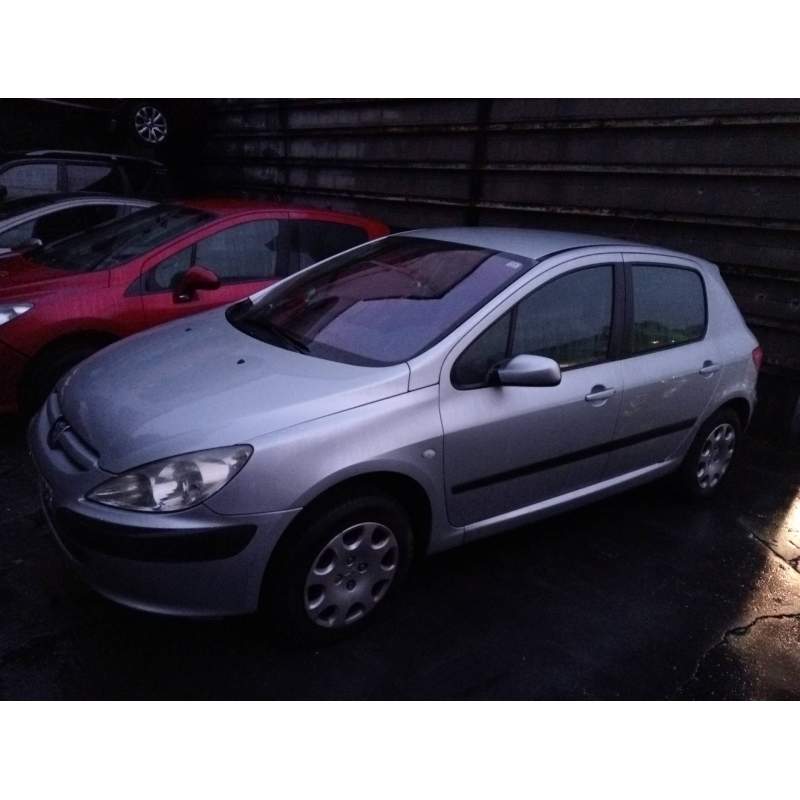 PEUGEOT 307 (S1)