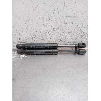 AMORTIGUADORES MALETERO / PORTON 50508010 1180N 2006