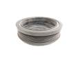 Recambio de polea cigueñal para seat leon (1m1) signo referencia OEM IAM 039105243  