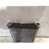 Recambio de radiador calefaccion / aire acondicionado para bmw x1 (e84) xdrive 18d referencia OEM IAM 985474R  2009