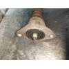 Recambio de amortiguador trasero derecho para seat exeo st (3r5)(2009>) sport referencia OEM IAM 3R0513036A  
