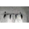 Recambio de rampa inyectora para opel astra j (p10) 1.6 (68) referencia OEM IAM 55562599 A138C02132 10