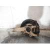 Recambio de mangueta delantera izquierda para lexus is200 (ds2/is2) 220d referencia OEM IAM   