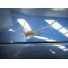 Recambio de paragolpes trasero para bmw 3 (e90) 318 d referencia OEM IAM   2008