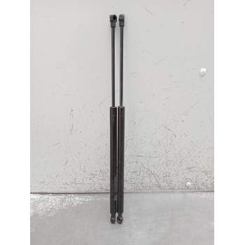 AMORTIGUADORES MALETERO / PORTON 545N 2004