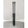 Recambio de amortiguadores capo para bmw 3 (e90) 318 d referencia OEM IAM ML5689  2008