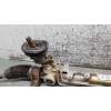 Recambio de cremallera direccion para volkswagen golf iv (1j1) 1.6 16v referencia OEM IAM   98
