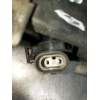 Recambio de faro antiniebla izquierdo para nissan almera ii hatchback (n16) 2.2 di referencia OEM IAM   2000