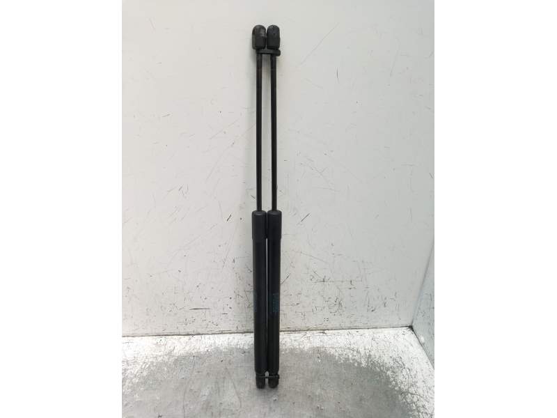 Recambio de amortiguadores maletero / porton para bmw x1 (e84) sdrive 18 d referencia OEM IAM   2009