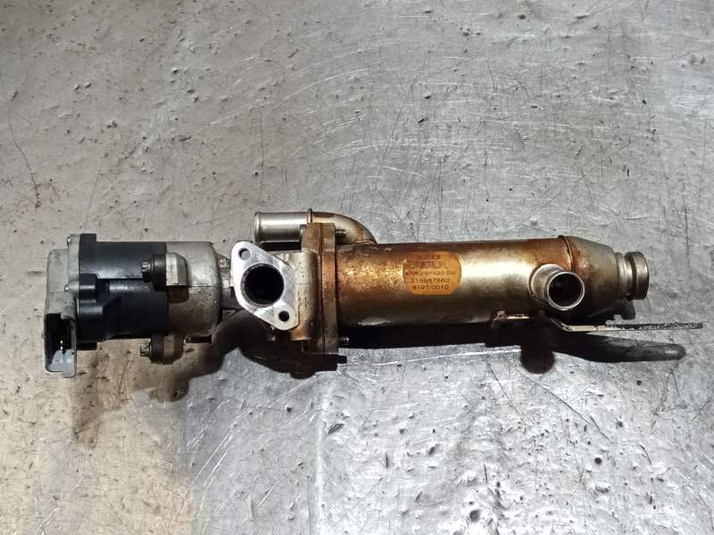 Recambio de enfriador egr para jaguar xf 2.7 v6 diesel luxury referencia OEM IAM   