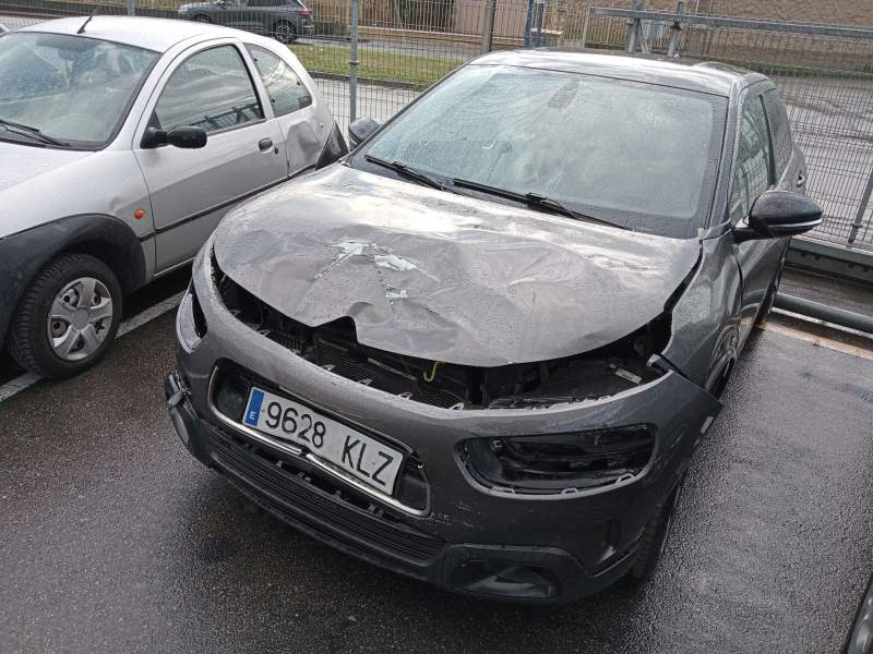 citroën c4 cactus del año 2018