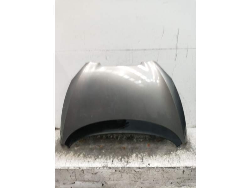 Recambio de capot para seat toledo iii (5p2) 2.0 tdi 16v referencia OEM IAM   2004