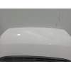 Recambio de capot para citroën jumper iii furgoneta 2.2 hdi 130 referencia OEM IAM   