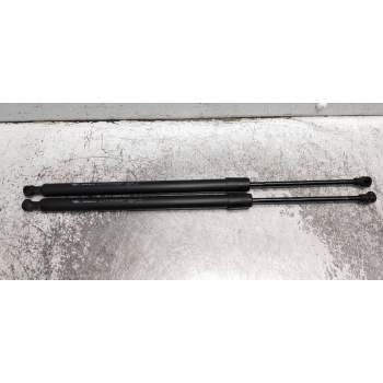 AMORTIGUADORES MALETERO / PORTON 8200219322 