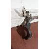 Recambio de puente trasero para volkswagen passat variant (3b5) highline referencia OEM IAM   DISCO / ABS