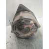 Recambio de alternador para mercedes-benz clase e (w123) berlina+coupe d 240 referencia OEM IAM   