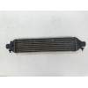 Recambio de intercooler para fiat bravo (198) 1.9 16v dynamic multijet referencia OEM IAM 866455500  