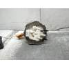 Recambio de bomba combustible para opel vectra c berlina comfort referencia OEM IAM  2.2i C/02