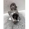 Recambio de motor arranque para opel astra h ber. 1.6 16v referencia OEM IAM 55556092 16I 16V 