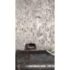 Recambio de amortiguador trasero izquierdo para volkswagen passat cc b6 (357) 2.0 tdi referencia OEM IAM 3C0512009N  